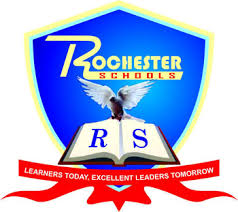 Rochester Schools